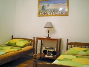 图赫尔斯克利普利采Apartments Country House Stipica的客房设有两张床和一张带台灯的桌子。
