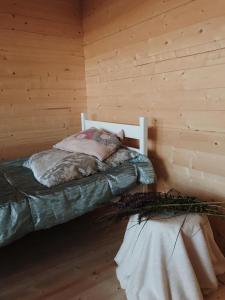HeiluRoograhu kämping的小木屋内带两张床的房间