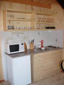 利普托斯基米库拉斯Chaty Dagmar的厨房配有微波炉和水槽