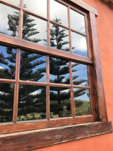 Valle de Guerra海赛达德瓦丽螺斯肯雅乡村民宿的透过窗户看到一棵松树
