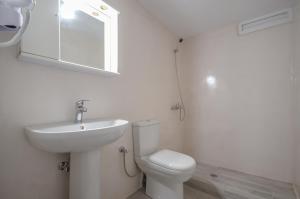 圣安娜纳克索斯Naxos Hostel的一间带水槽、卫生间和镜子的浴室