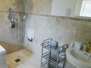 MarnhullClock House B&B的带淋浴、盥洗盆和卫生间的浴室