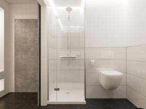 阿豪斯smartel at The Unbrexit的一间带卫生间和玻璃淋浴间的浴室