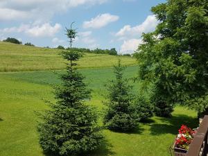 拉科维察佩特拉酒店的田间中间的两棵圣诞树
