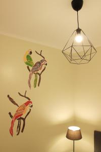 里斯本卡萨贝卡公寓的墙上有鸟的房间