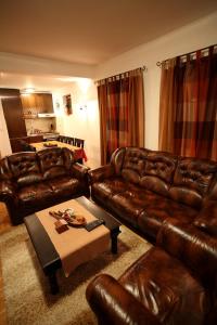 扎布利亚克家庭公寓酒店的客厅配有棕色皮沙发和桌子