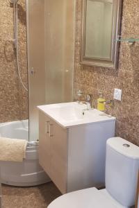 克拉斯拉瓦Kraslava 2 Bedroom Lux Apartments的一间带水槽、卫生间和淋浴的浴室