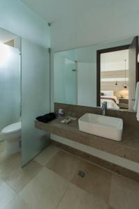 巴兰基亚巴兰基亚广场酒店的一间带水槽、卫生间和镜子的浴室