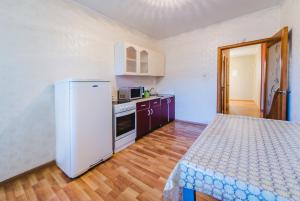 赤塔Dekabrist Apartment Tokmakova 36的厨房铺有木地板,配有白色冰箱。