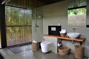 康提Santani Wellness Kandy的一间带卫生间和水槽的浴室