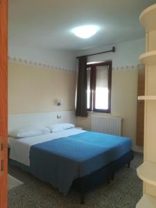 圣贝内代托-德尔特龙托中央酒店的一间卧室配有一张带蓝色毯子的大床