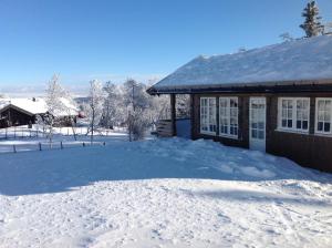 GolsfjelletBergestua - 4 bedroom cabin的前面有一堆积雪的房子