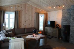GolsfjelletBergestua - 4 bedroom cabin的带沙发和壁炉的客厅