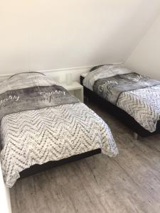 霍勒姆Antares-Ameland的一间卧室设有两张床,铺有木地板