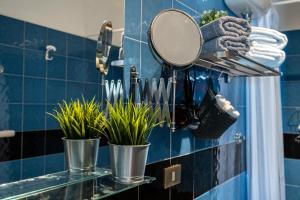 罗迪-加尔加尼科Borgo Canneto的浴室设有镜子,一些植物装在桶里