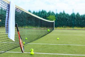 柳布什基Stanic Estate的网球场上的网球拍和网球