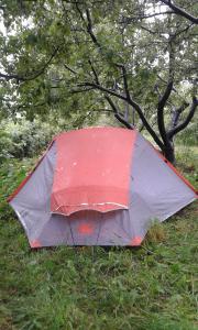 Grigor'yevkaIssyk-Kul - Camping Grigoryevka的树旁的草棚