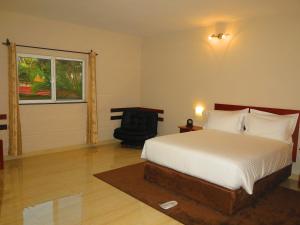 希莫尤Hotel Castelo Branco的卧室配有床、椅子和窗户。