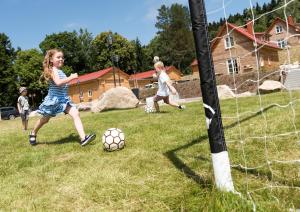 施尔奇Das Schierke Harzresort的两个孩子在田间玩足球