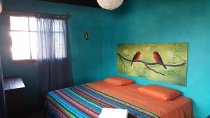 Galapagos Morning Glory客房内的一张或多张床位