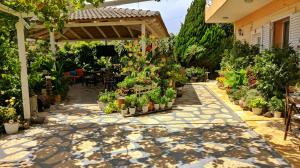 萨兰达Guesthouse Villa Joanna&Mattheo的庭院里种有盆栽植物的花园