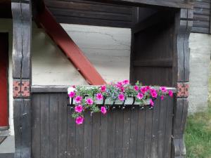洛姆Teigen Gard的窗箱内带鲜花的木栅栏