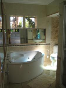德班维尔Aurora Guest Units的带浴缸、卫生间和镜子的浴室