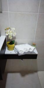 蓬塔雷纳斯Atardecer porteño的浴室里带毛巾和花瓶的架子