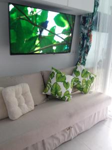 多列毛利诺斯Aloha Paraíso的一张带两个枕头的沙发和一台墙上的电视