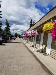 SundreSun Plaza Motel的建筑物边的一排花