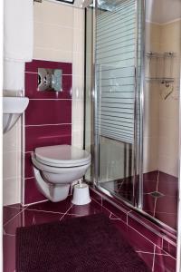 瓦尔纳维拉玛提41号酒店的一间带卫生间和玻璃淋浴间的浴室