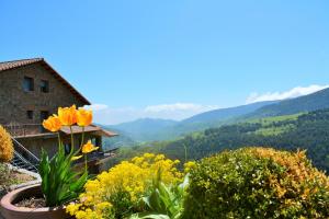 特尔河畔比拉利翁加El Serrat De Tregura的享有带鲜花和房屋的山脉美景