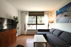 兰索尔Pont de Toneta 3,3 Ransol, Zona Grandvalira的客厅设有蓝色的沙发和大窗户