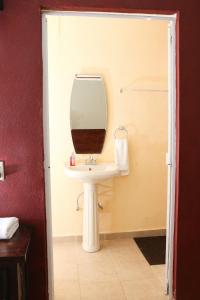 希利特拉Hotel La Gloria Xilitla的一间带水槽和镜子的浴室