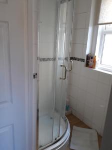 锡德茅斯Kilreany的带淋浴、卫生间和窗户的浴室