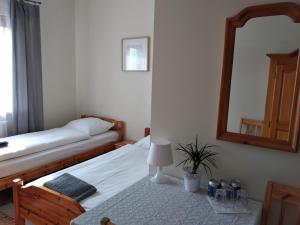 普翁斯克Swojski Klimat的一间卧室设有两张单人床和一面镜子