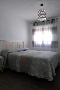 阿尔玛格鲁El Ventanal de Almagro的一间卧室设有一张床、一个窗户和一个吊灯。