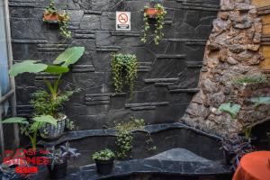 科尔多瓦凯西格梅斯酒店的石墙,有植物,禁止吸烟