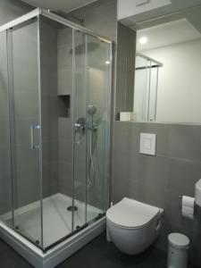 巴什卡沃达B&B villa Kovač的浴室设有玻璃淋浴间和卫生间