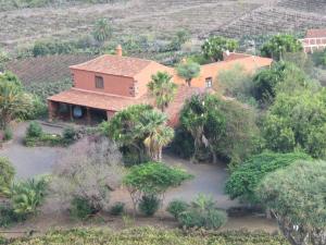 Valle de GuerraHaciendas del Valle - Casa San Miguel的棕榈树房屋的空中景致