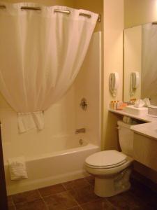 索尔多特纳阿斯彭酒店的浴室配有卫生间、浴缸和水槽。