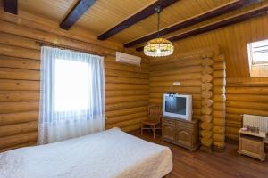 迪达Gostynnyi dim Zatyshok的一间卧室配有一张床和电视