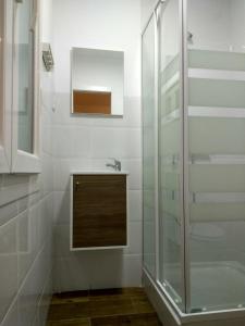 先波苏埃洛斯Apartamentos Ciempozuelos的一间带水槽和淋浴的浴室
