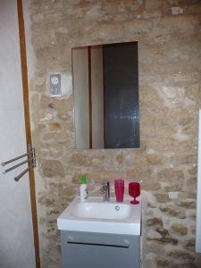 Saint-Georges-lès-BaillargeauxLe Haut Fontaine : minis maisons de charme的一间带水槽和镜子的浴室