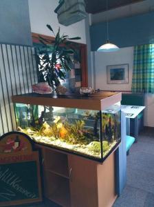 温德哈根Hotel/Restaurant Adria的房间里的一个大鱼缸