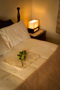 利马瓦迪Atlantic View Apartments的床上的毛巾和植物