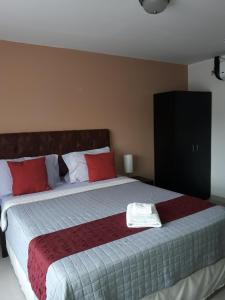 圣何塞Hotel Portal Colonial的一间卧室配有一张带红色枕头的大床