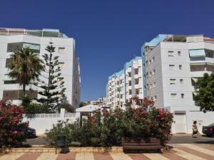 滨海罗克塔斯La Perla Azul Playa - Terraza al Sol的两座高大的白色建筑,前面有鲜花