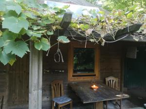 萨尔布吕肯Waldhütte的小屋前的一张木桌和椅子