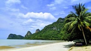 当萨Baan Suchanuch的海滩上的棕榈树,山 ⁇ 的背景